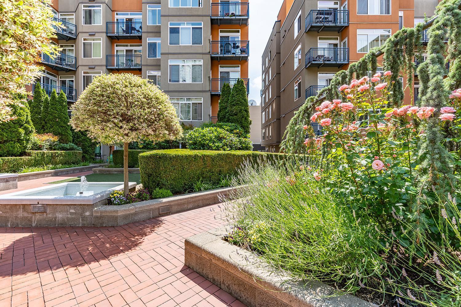 Appartement Seattle Among The Trees: In Belltown W/Parking! Extérieur photo